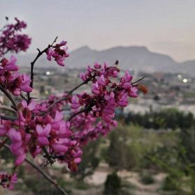 Karima Bakhramova Profile Picture