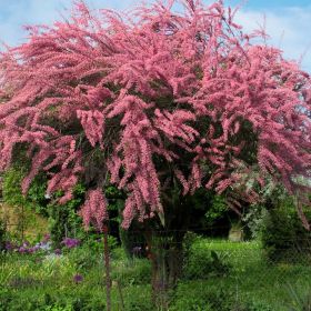 Ренат Насыров Profile Picture