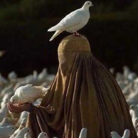 Аиша Далгатова Profile Picture