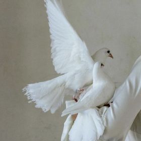 Марьям  Абдухалокова