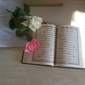 مريم كمال Profile Picture