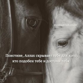 Abu Muhammad Profile Picture