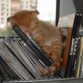 Алёна Александрова Profile Picture