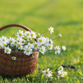 Zarema Devletova Profile Picture