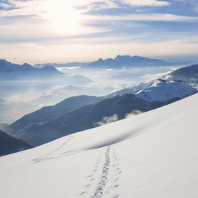 Ильшат Profile Picture