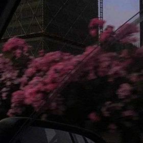 Ниса Исмаилова Profile Picture