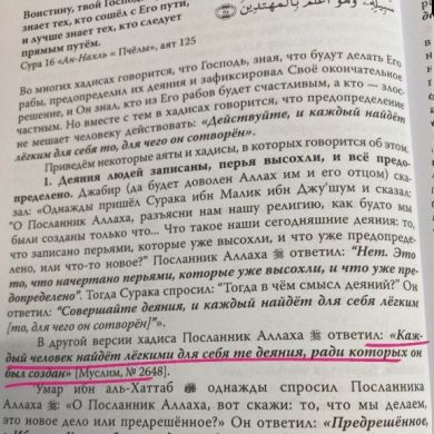 firuzat 008 Profile Picture