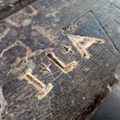 Sumaya Medinova Profile Picture