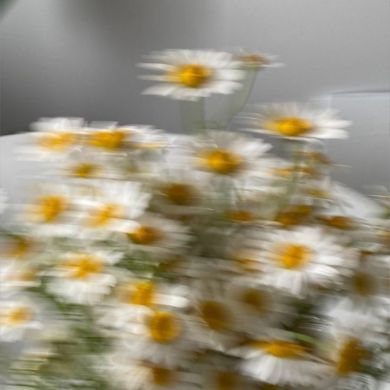 Марьям Омарова Profile Picture