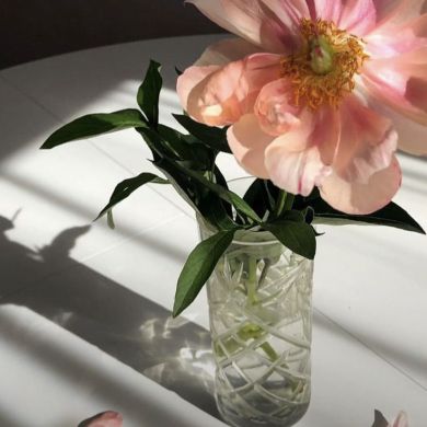 Амира Амирова