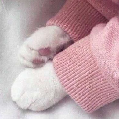 Айза Эфендиева