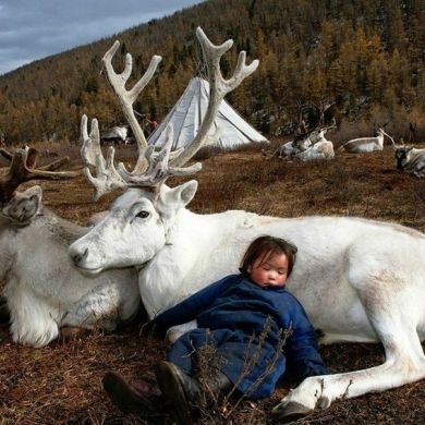 Arsen Junusov Profile Picture