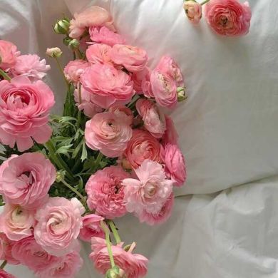 Madina Mamaeva Profile Picture