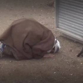 Yusuf Abu Munira Profile Picture