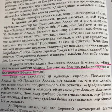 Farizat __ Profile Picture