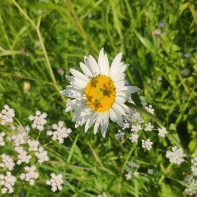 Анастасия Литвиненко Profile Picture