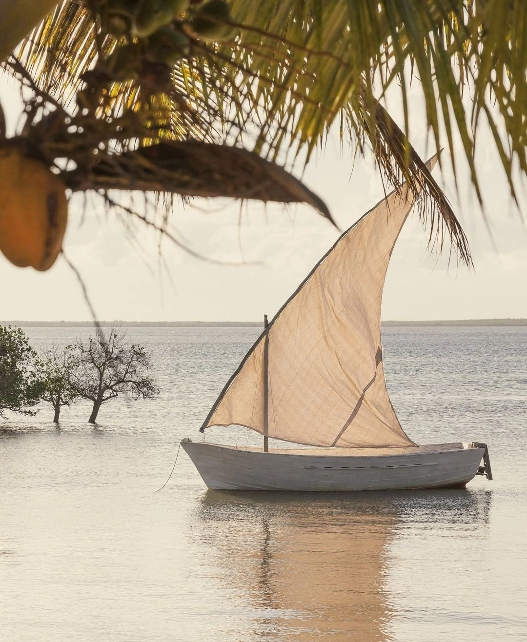 Селихат Магомедова Profile Picture