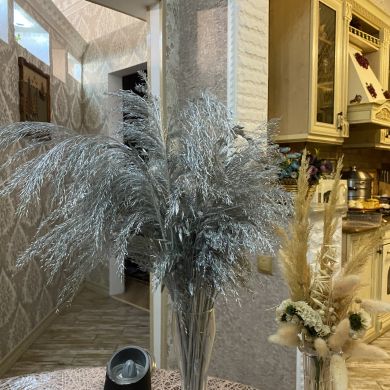 Зарина Мусаева