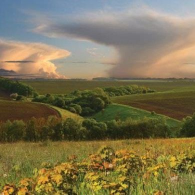 Айрат Шакиров