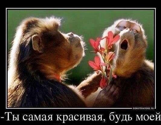 Валид Нохчо Profile Picture