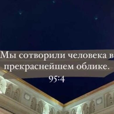 Мулейка Умм-Хурейра Profile Picture