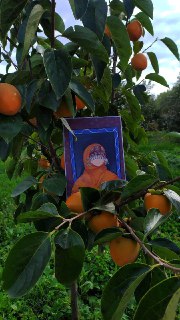 Telegram: Contact @tamarii20