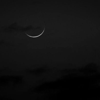 Umm Muaviya Profile Picture