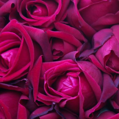 Умм Абдуллах