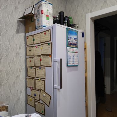 Кайрат Колисенов Profile Picture