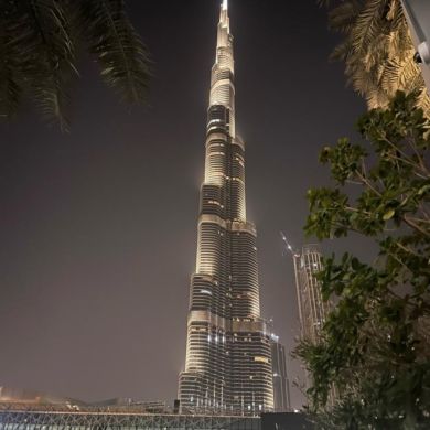 Bashir Megiev Profile Picture