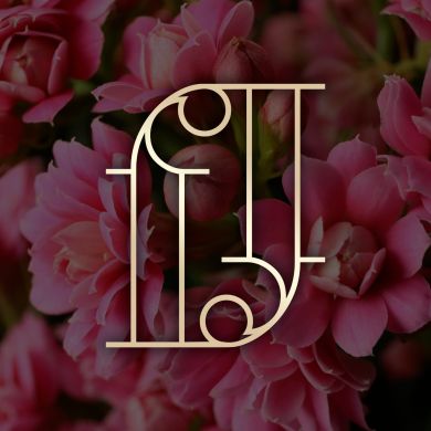 Fatima D Profile Picture