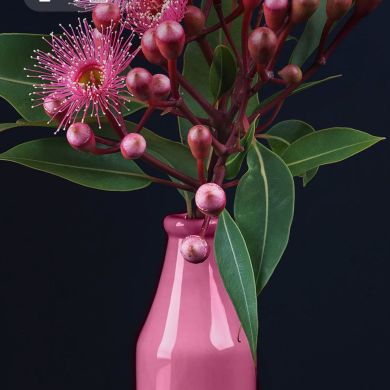 Мадина Мадина