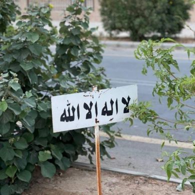 Ризван Мачукаев Profile Picture