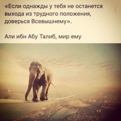 Дарига Жиенбаева