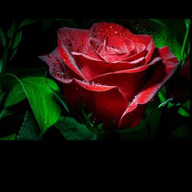 Абдул борий Profile Picture