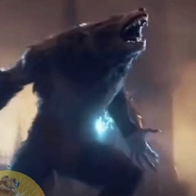 Djamal Nevajno Profile Picture