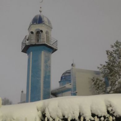 Слава Киселев Profile Picture