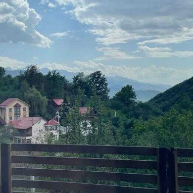 Мухаммад Ахмад