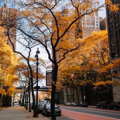 Muslim Muslim Profile Picture