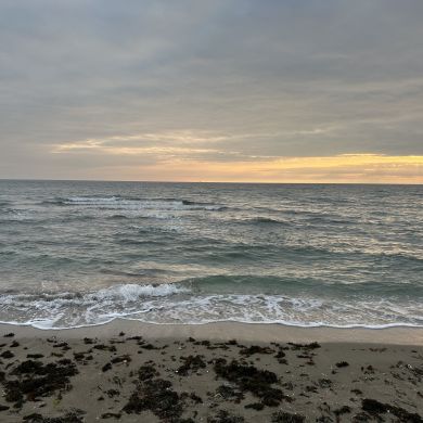 Muslim Che Profile Picture