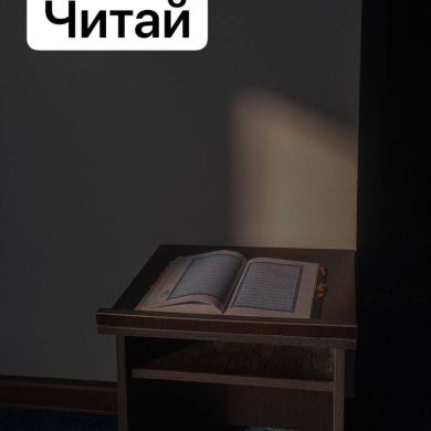 Ежедневник Мусульманки profile picture