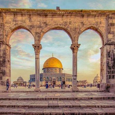 Fathi Adel Profile Picture