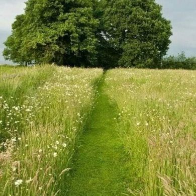 Абу Рамазан Profile Picture