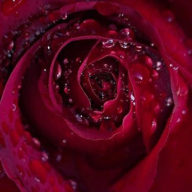 Эльнура Кувшинова