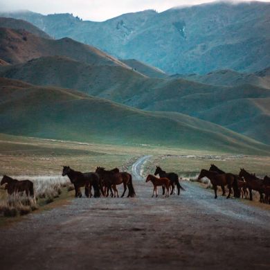 Arina As Profile Picture