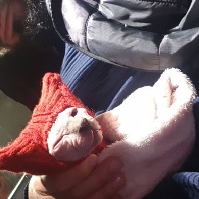 Рамазан  Исаев  Profile Picture