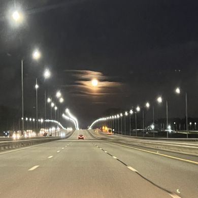 Динислам Мухтаров Profile Picture