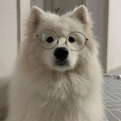 Эльмира Абдурахманова