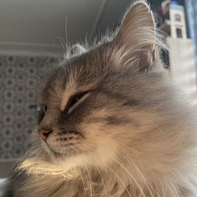 Абдулла Саидов Profile Picture