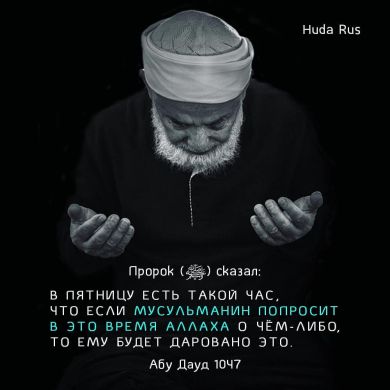 Рустам М Profile Picture